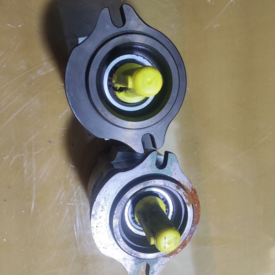 艾可勒油泵德国如图实物拍摄  EIPS2-006ra