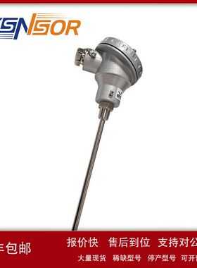 台湾EYC温度传感器PT100 管径8MM 管长300MM 3/8螺纹 304材质议价