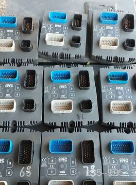 EPEC 2024派芬控制器E3002024-20 8个 （详谈