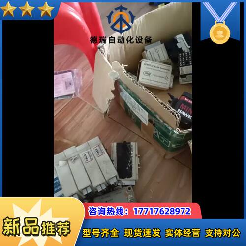 CEIA PD140E 启亚手持探测器，现货成色实拍物议价