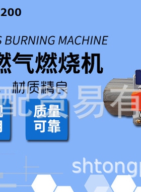 低氮燃烧器低氮30毫克百得燃烧器TBG80LXMEFGR