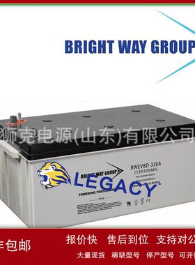 美国BRIGHT WAY GROUP蓄电池BW-4D/BW-4D-AGM、BW-8D铅酸电瓶议价
