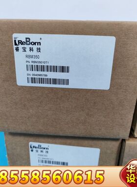 睿宝真空计RBM350，型号RBM35010T1，10Tor