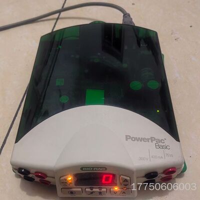 BIO-RAD 伯乐电泳仪 PowerPac Basic