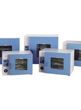 上海一恒GRX-9123A热空气消毒箱(干热消毒箱)550×450×550/200℃