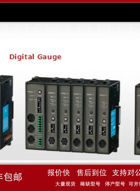 数字测量滚动探头DZ-100日本MAGNESCALE信号转换模块MG10-P2议价