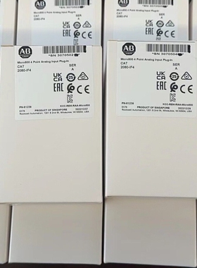 2080-IF4 Allen-BradleyPL