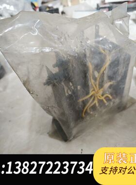 船用模块6M4M100C