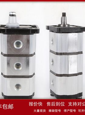 意大利BREVINI齿轮泵PS2307083D OT200P08+08+08D/G28P2议价