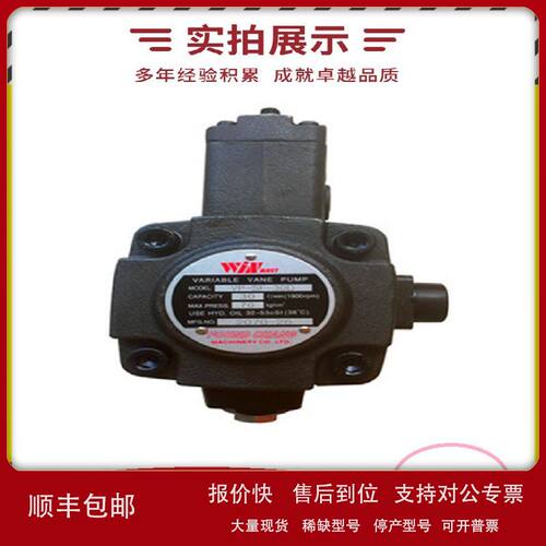 法国HPI齿轮泵P1DBN2008CE2006CL10C02N 质量好 全国包邮议价