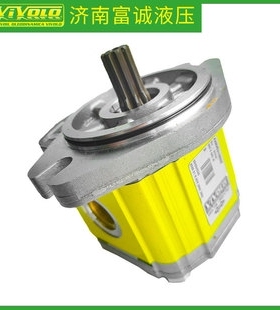 VIVOLO高压齿轮泵XV-2P/04cm3/rev X2P4152BBBA平键轴齿轮泵