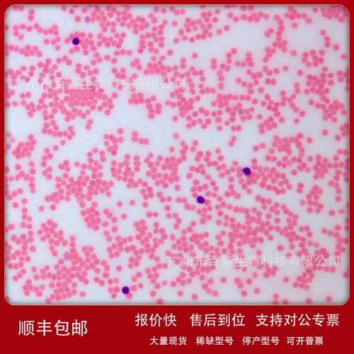 姬姆萨染色液（工作液） Giemsa Stain solution G1010议价