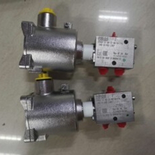 FP06P-S1-04-32-NU-SA-77A-24D-35-K85-L209