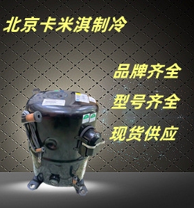 泰康空调压缩机 AGC5538 低温冷冻冷库冰柜制冷