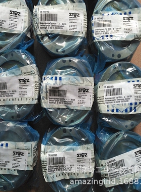 德国STOZ含匹配电机 DS-2-NLS (EF-N-2)  ZB 0724/075/023