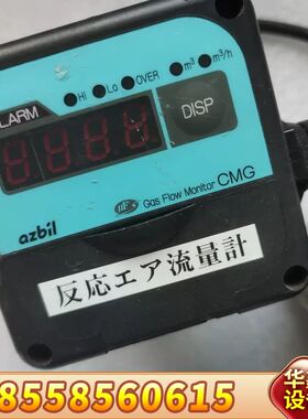 气体流量计CMG250A010000000