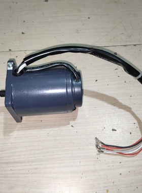 SPG电机S6I06GB-S12CE