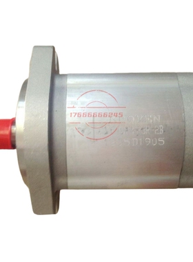 KUOYEN谷研齿轮泵VS-9A-F31R-2B F4/6/10/12/14/19/23/28/33/35R