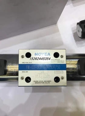 HOYEA华液电磁阀FW-02-2B2-B220Z5L/60库存全新包邮
