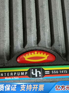 Interpump英特高压泵SSU1415 流量15.2l/