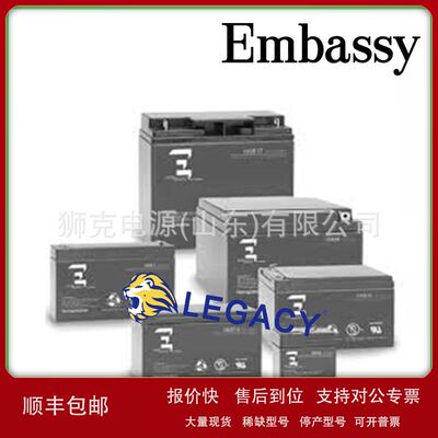 美国EMBASSY蓄电池12CE35、12CE18、12CE55、12CEG100铅酸电瓶议