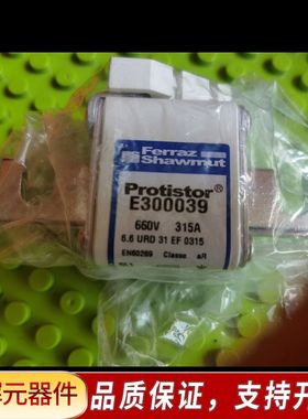 E300039 660B  315A   2个  熔断器