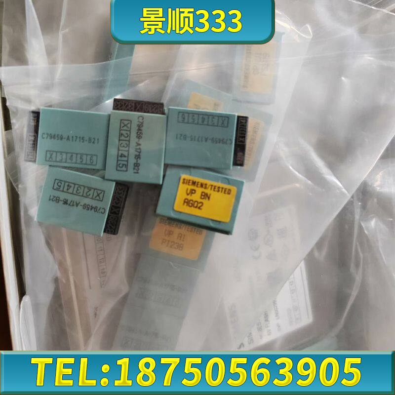 西门子C79459-A1715-B21，CP341硬件狗，6