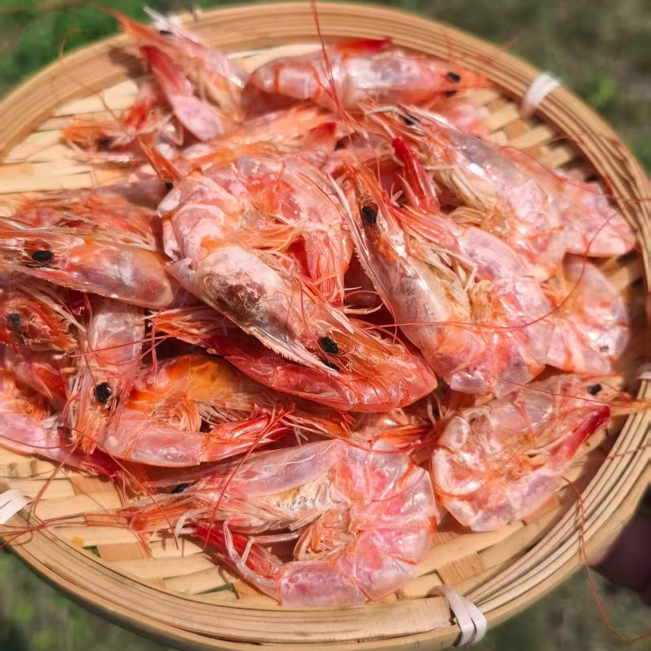 开袋即食烤白虾脆皮虾大号虾干海鲜干货孕妇老人小孩零食500g