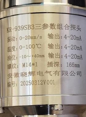 R-939SB3三参数组合探头振动温度油位4~20mA输出