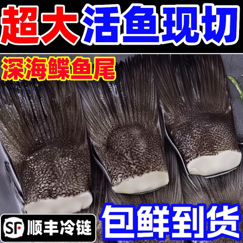 鲽鱼尾碟鱼尾巴特大鱼深海新鲜鱼雅片鱼尾巴商用鱼尾海鲜烧烤