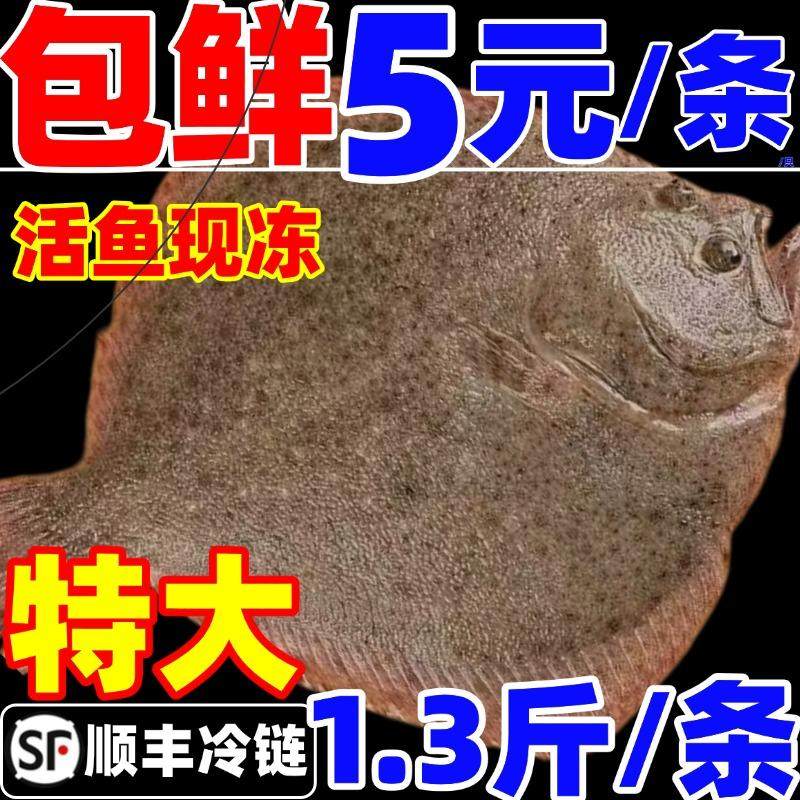 多宝鱼超大比目鱼鸦片鱼鲜活八宝鱼新鲜冷冻偏口鱼海鲜水产深海鱼,水产肉类/新鲜蔬果/熟食,比目鱼/多宝鱼/鸦片鱼/龙利鱼,淘宝优惠券,粉丝福利购,淘宝优惠卷