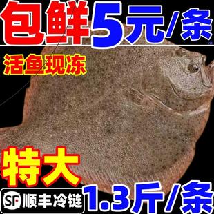 多宝鱼超大比目鱼鸦片鱼鲜活八宝鱼新鲜冷冻偏口鱼海鲜水产深海鱼