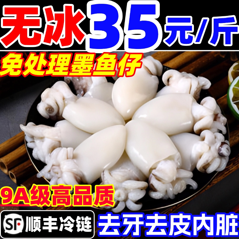 墨鱼仔新鲜小墨鱼无冰鲜活冷冻乌贼小鱿鱼捞汁小海鲜商用海鲜水产图片