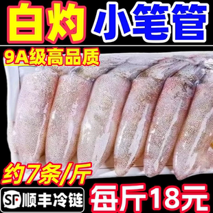 满籽籽乌海兔子全籽膏带籽鲜活冷冻海鲜水产墨鱼仔小鱿鱼笔管鱿鱼