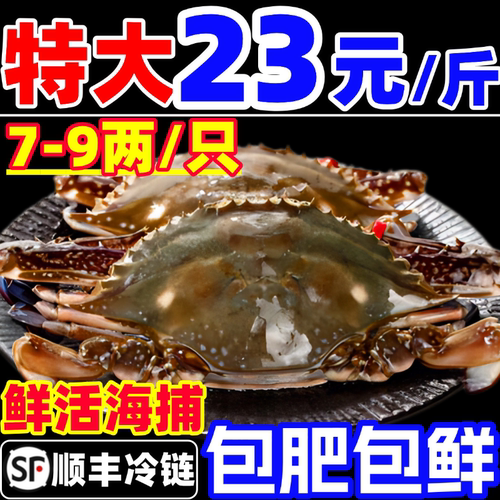 梭子蟹超大海螃蟹新鲜飞蟹母蟹公蟹海捕红膏蟹冷冻特大海鲜水产