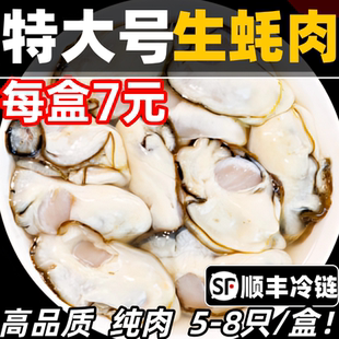 生蚝肉鲜活现剥海鲜水产新鲜牡蛎肉去壳蚝仔肉纯肉蛎蝗肉海蛎子肉