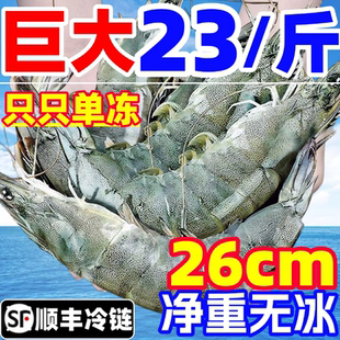 大虾鲜活速冻基围虾特大青岛海虾超大海捕对虾白虾新鲜海鲜水产