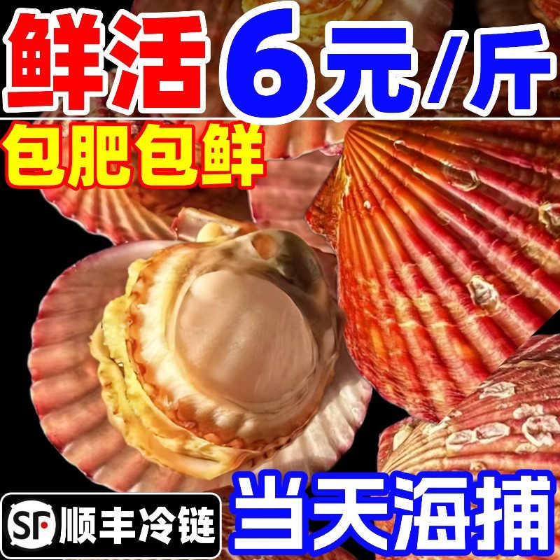小红贝鲜活发货扇贝特大海鲜水产大个红扇贝港湾贝带壳包鲜包肥,水产肉类/新鲜蔬果/熟食,贝类制品,淘宝优惠券,粉丝福利购,淘宝优惠卷