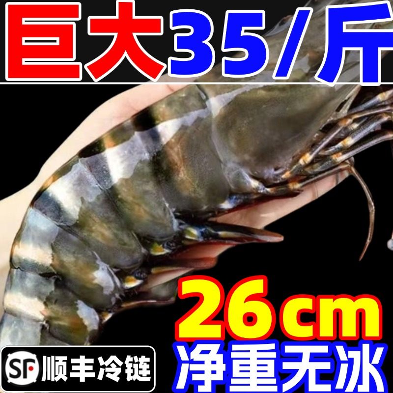黑虎虾大虾鲜活超大老虎虾新鲜速冻深海基围虾特大海鲜九节竹节虾