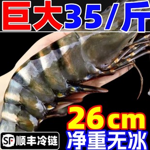 黑虎虾大虾鲜活超大老虎虾新鲜速冻深海基围虾特大海鲜九节竹节虾