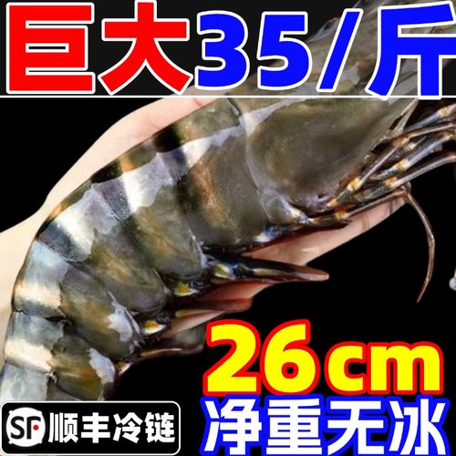 黑虎虾鲜活速冻特大虾