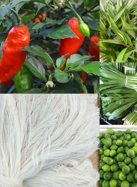 撒撇原料云南德宏傣族撒撇原料蔬菜组合柠檬香菜涮涮辣柠檬组合包