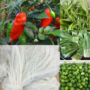 撒撇原料云南德宏傣族撒撇原料蔬菜组合柠檬香菜涮涮辣柠檬组合包
