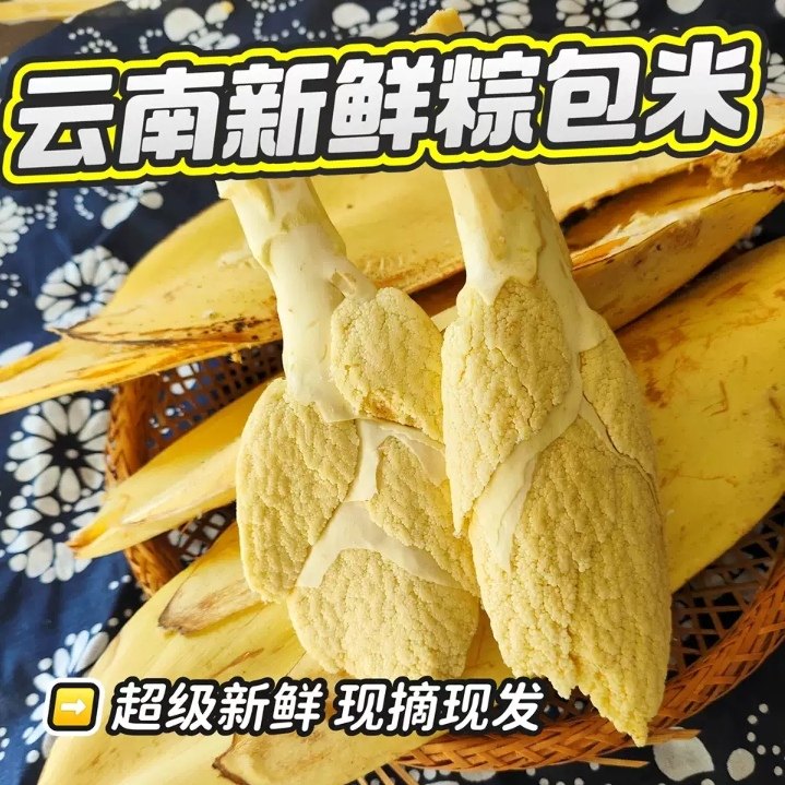 云南棕包棕贝包棕芘棕贝包棕贝包棕贝包棕贝包棕贝包,水产肉类/新鲜蔬果/熟食,其它,淘宝优惠券,粉丝福利购,淘宝优惠卷