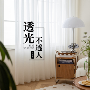 窗帘纱帘透光不透人纱飘窗白纱阳台纱客厅卧室半遮光窗纱白色新款