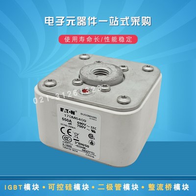 快速熔断器保险丝170M6409 6410 6411 6412 6413 6414 6415 6416