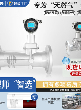 智能旋进旋涡流量计铝合金防爆型天然气煤气沼气流量计dn150