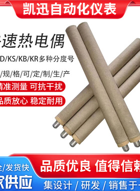 炉前熔炼钢水测温仪一次性快速热电偶KD KW-602P-300钨铼KSKB铂铑