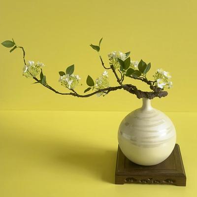 花地长枝六头绣花球海棠花枯枝客厅摆件仿真落餐34160桌室内卧室