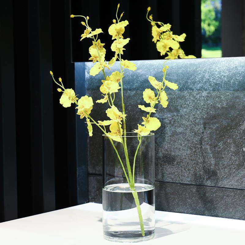 清明透玻璃摆20137件客厅干花水培插花新圆小柱直筒富贵竹一枝花